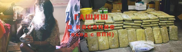 стафф Михайловск