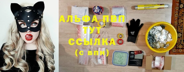 стафф Михайловск