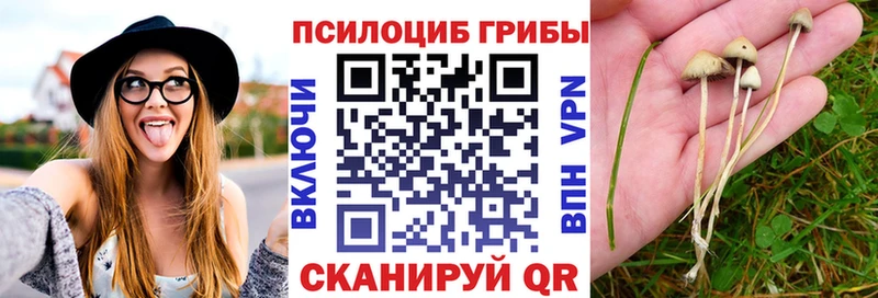сайты даркнета клад  Шацк  Псилоцибиновые грибы GOLDEN TEACHER  купить  
