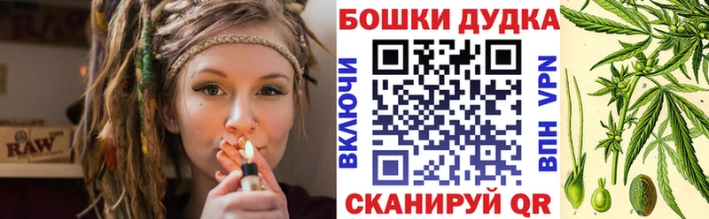 Бошки Шишки планчик  закладки  Шацк 
